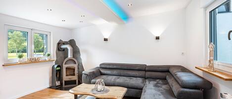 电视、壁炉、DVD 播放器、立体声音响