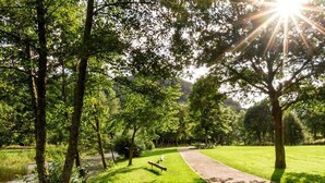 Ein Park mit einem gepflasterten Weg, Bäumen und einer Bank.