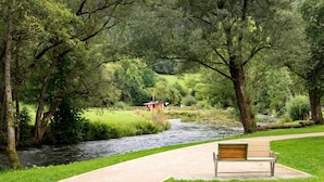 Eine Bank am Fluss in einem Park mit Bäumen und einem Gebäude im Hintergrund.