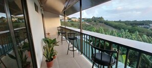 Property grounds - Alan's House (Santa Elena)