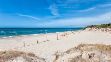 Playa en los alrededores
