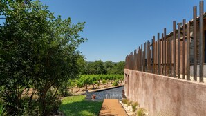 Un vignoble avec un sentier menant à un bâtiment entouré d’une clôture en bois.