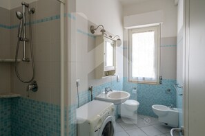 Shower, hair dryer, bidet, towels