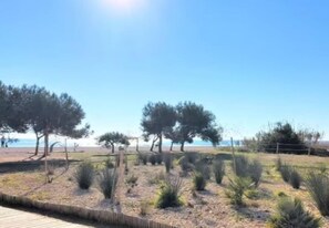 Playa en los alrededores