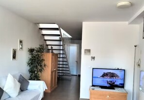 TV
