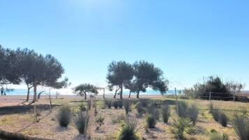 Playa en los alrededores