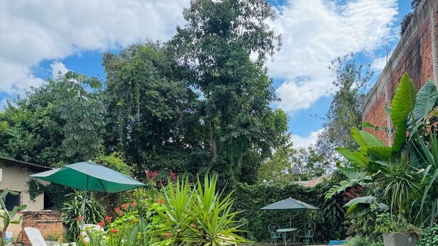 A pool area with steps leading down to the water, surrounded by lush greenery and a clear blue sky.