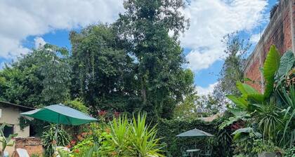 Tuchita House, house with pool, stove, barbecue in Cataratas del Iguazú
