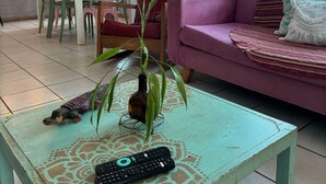 A living room with a sofa, a coffee table with a remote control, a plant, and a dining area in the background.