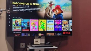 Television