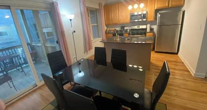 Bright Vintage U of C Center Condo with WiFi, AC in enjoyable Chicago