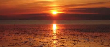 Nära stranden