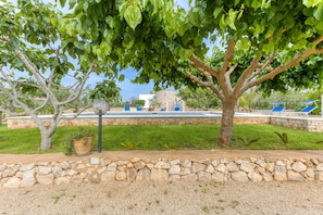 A stone wall, a tree, a blue chair, and a building in the background.