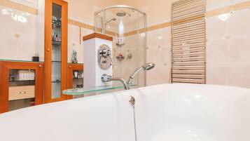Shower, hair dryer, bidet, towels