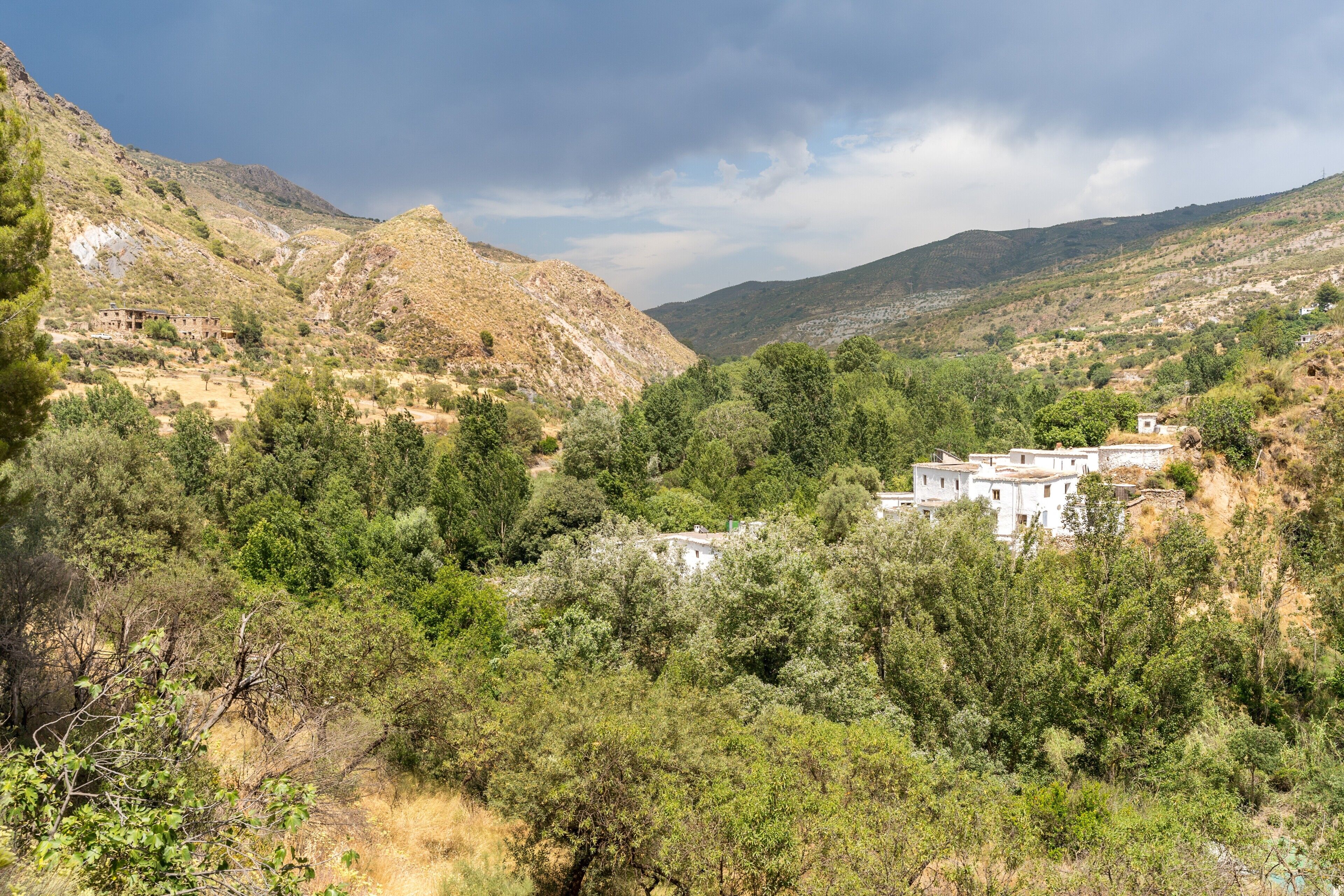 Un paysage montagneux où des bâtiments sont nichés au milieu des arbres.