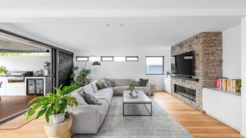Smart TV y chimenea