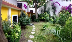 Property grounds - San Bernabé Tres (Guanajuato)