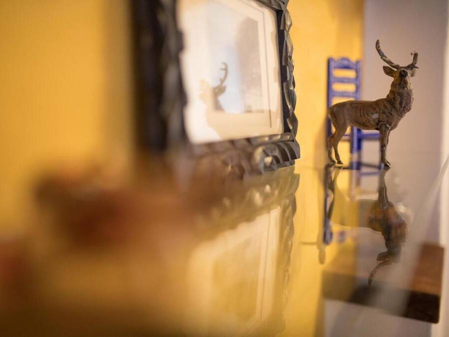 Una habitación con una mesa de vidrio que refleja una estatua de un ciervo y un cuadro enmarcado.