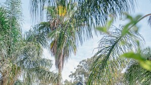 A multi-story house with a balcony, surrounded by lush greenery and palm trees. - Blackwood at Boardwalk Villas Metung (Metung)