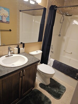 Hair dryer, shampoo, toilet paper