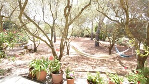 A hammock between trees in a garden with potted plants. - Casa Vacanze Il Bouganville (Chia)
