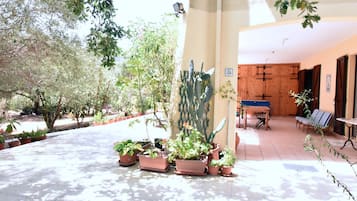 Terraza o patio