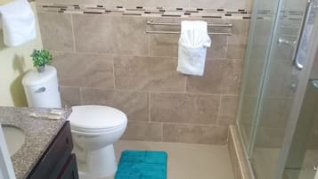 Casa de banho com sanita, lavatório com bancada de granito, uma pequena planta em vaso e zona de duche com porta de vidro.