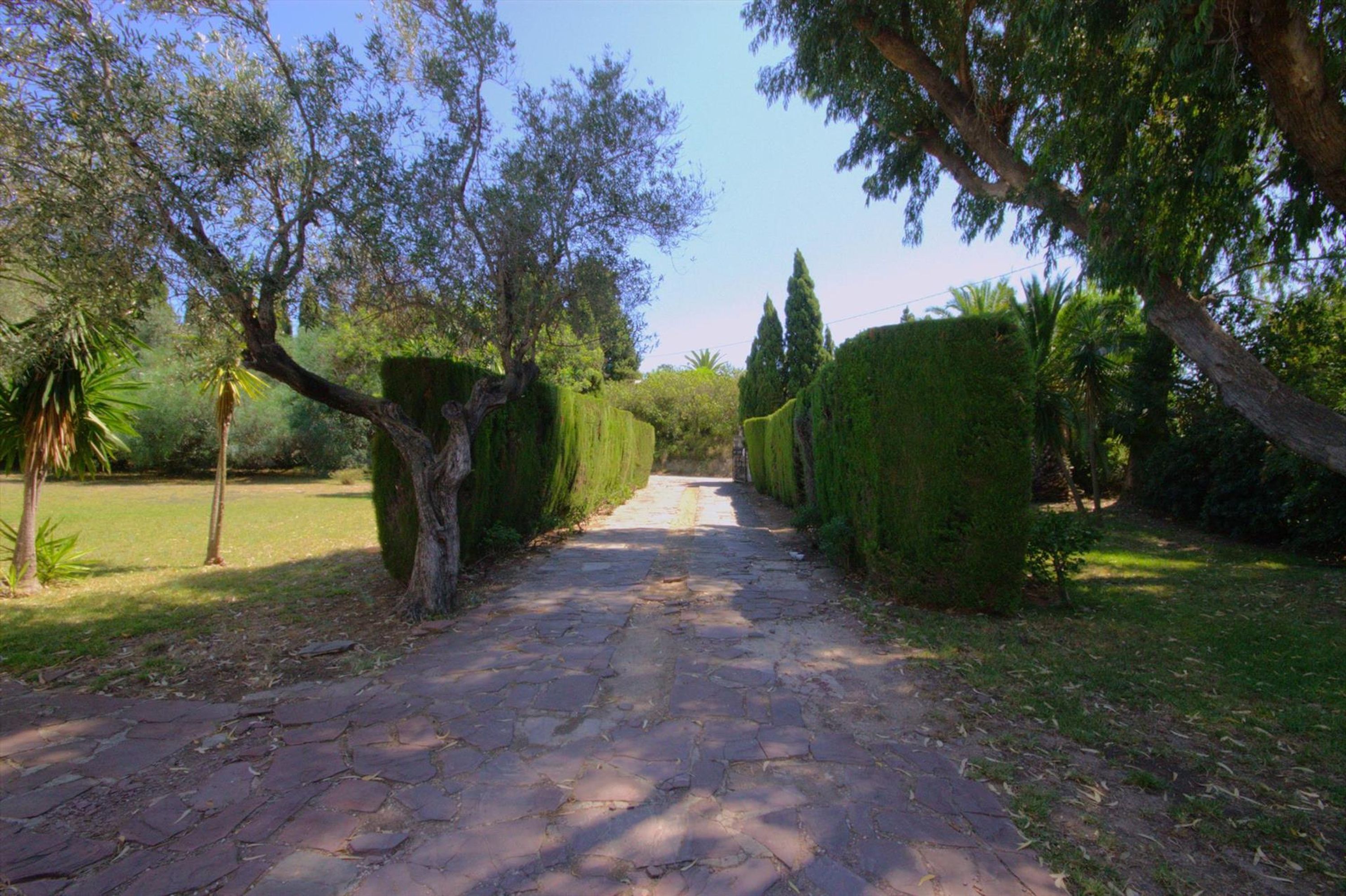 Un camino pavimentado bordeado por setos y árboles cuidadosamente recortados, que conduce a un exuberante jardín.