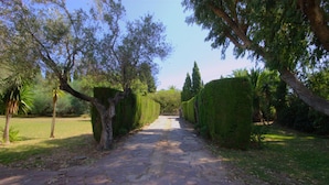 Un chemin pavé, bordé de haies et d’arbres soigneusement taillés, mène à un jardin luxuriant.