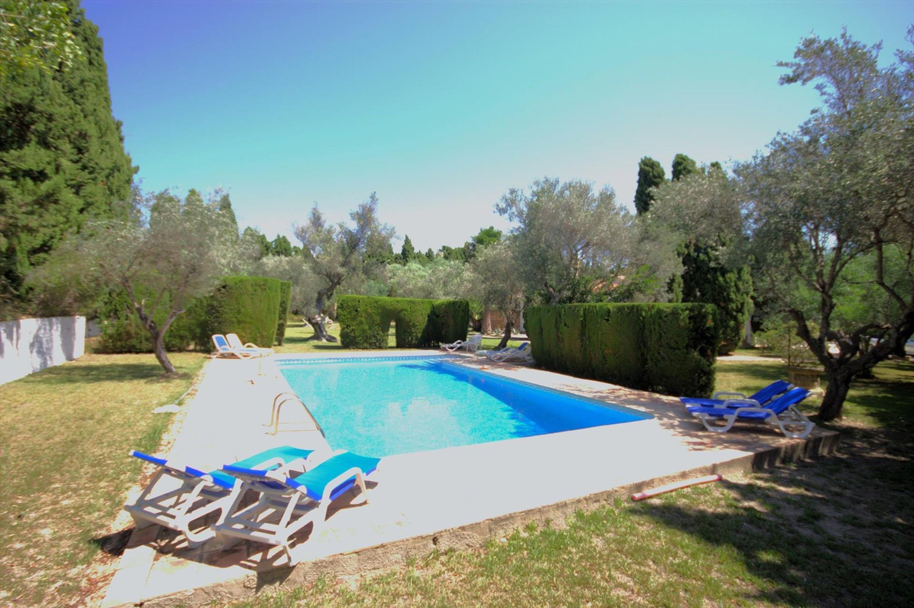 Una piscina rectangular con superficie de agua azul cristalina, rodeada por un seto bajo. Varias sillas de descanso con cojines azules a lo largo de la piscina.