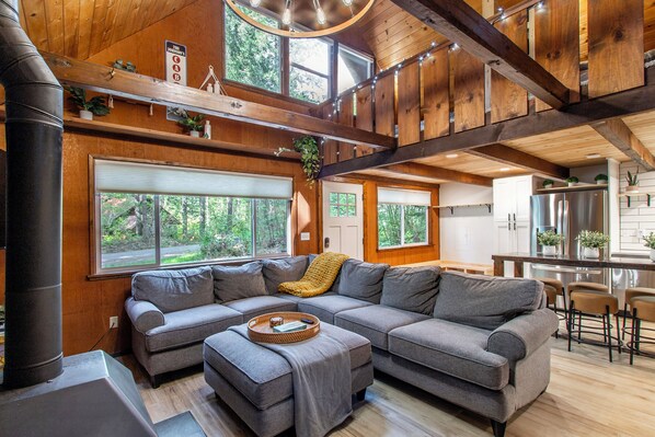 Smart TV, fireplace, books