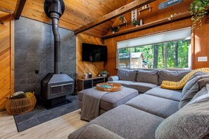 Smart TV, fireplace, books