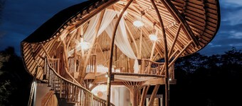 Wiwaka Big Leaf 1-bedroom lodge Bamboo in delightful Bali