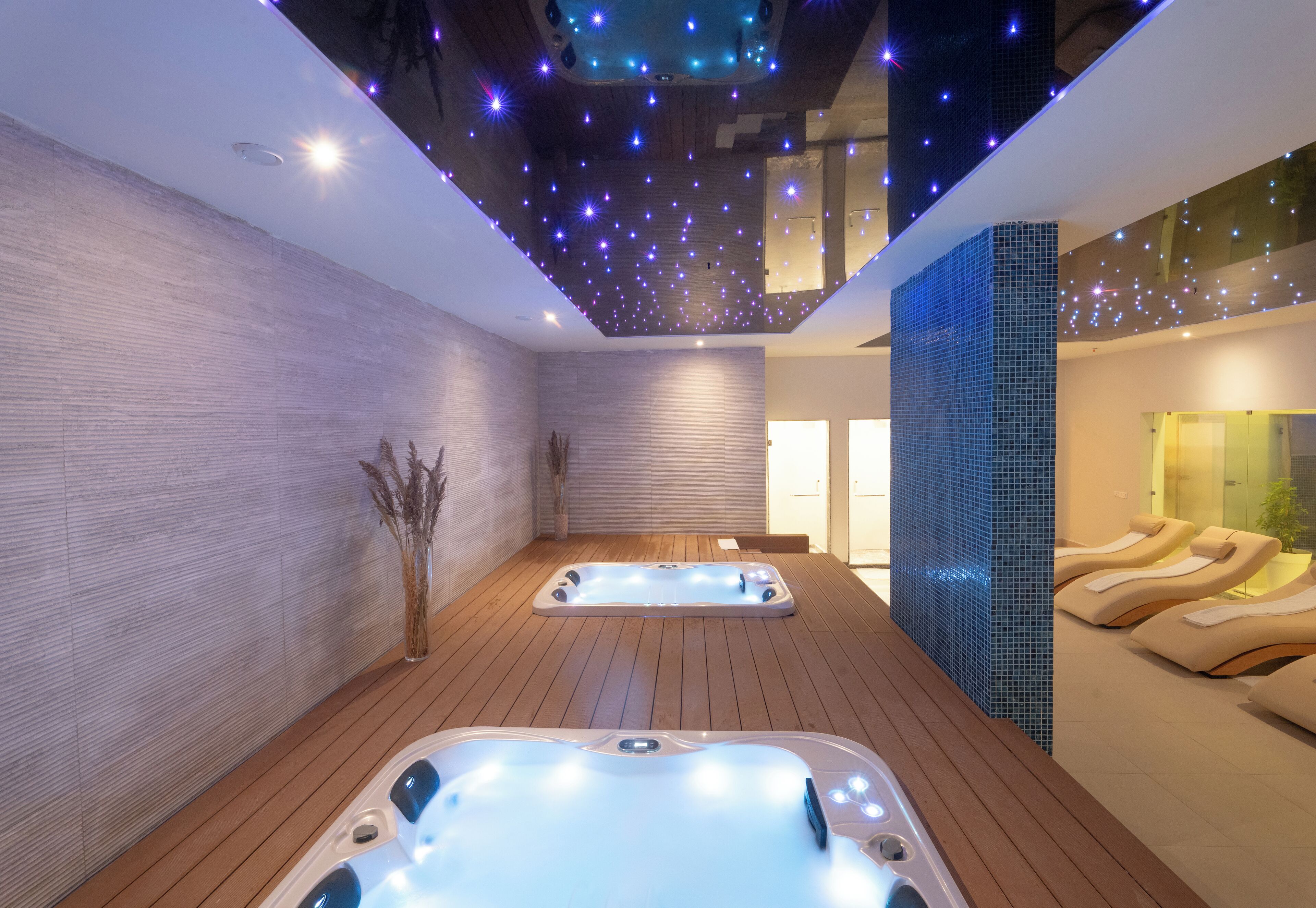 Sauna, hot tub, steam room, mud baths, massages