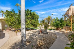 Unclassified image, 4 of 49, button