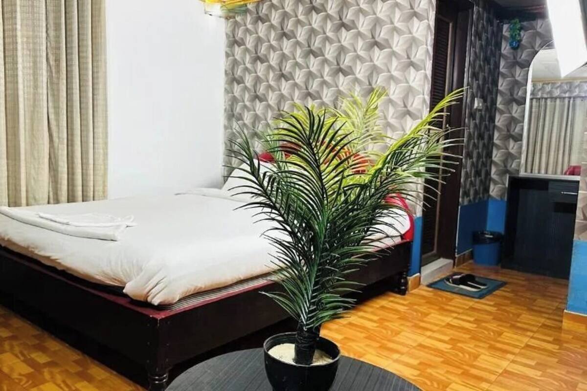 A hotel room with a bed, a potted plant, a small table, and a door leading to another room.