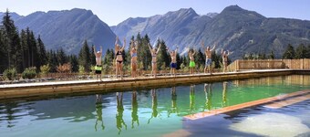 Chalet in Neukirchen near Ski Arena Wildkogel