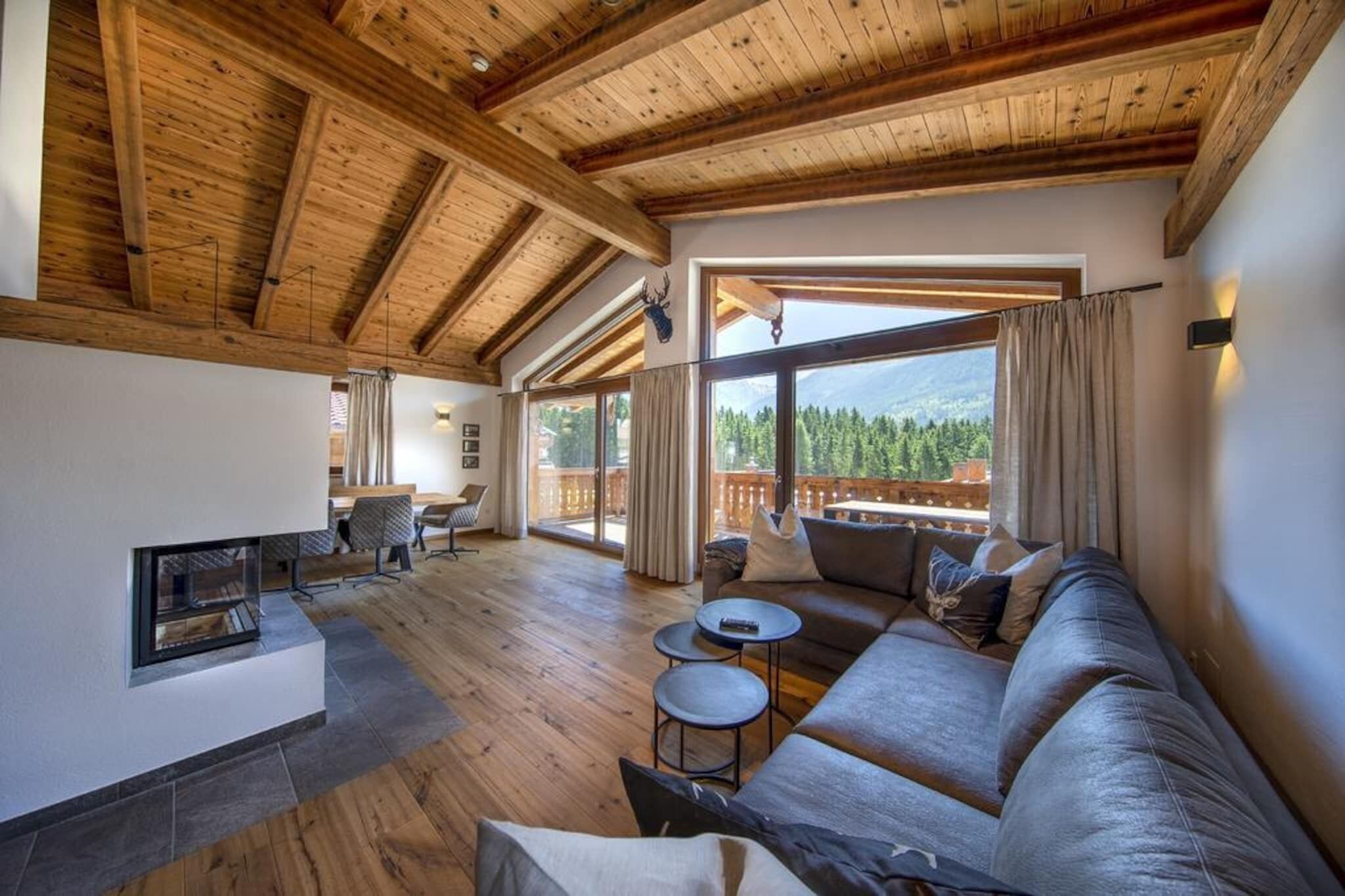 Smart-TV, Kamin