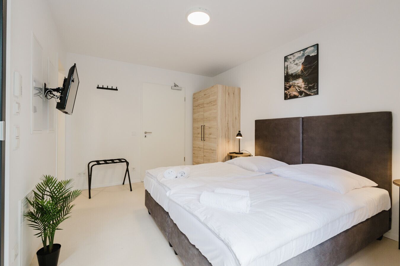 Un dormitorio moderno con una cama grande, un armario de madera, una mesita de noche pequeña, un televisor montado en la pared y una planta en maceta.