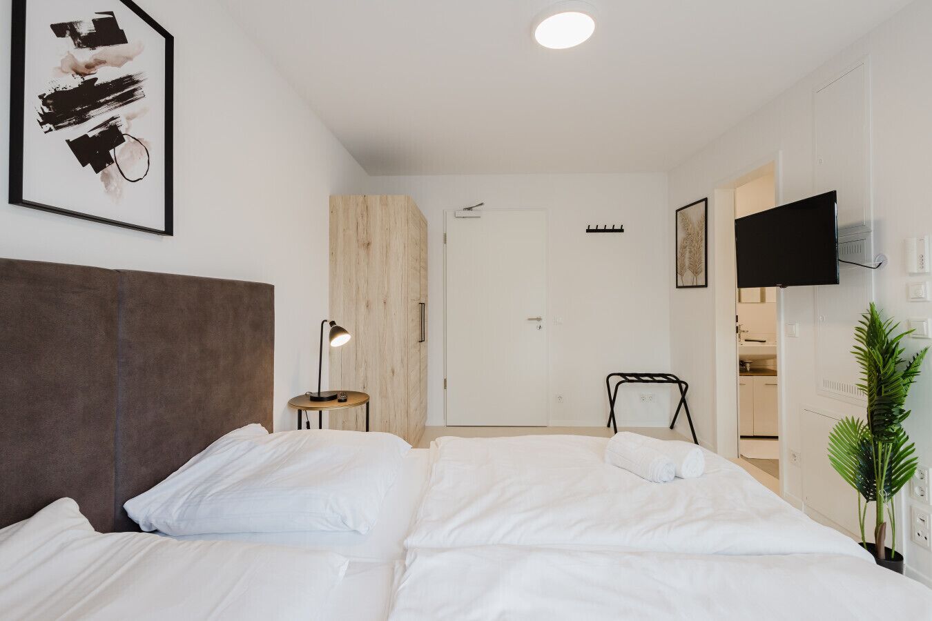 Quarto de hotel com uma cama grande, mesa de cabeceira com luminária, TV na parede e uma planta.