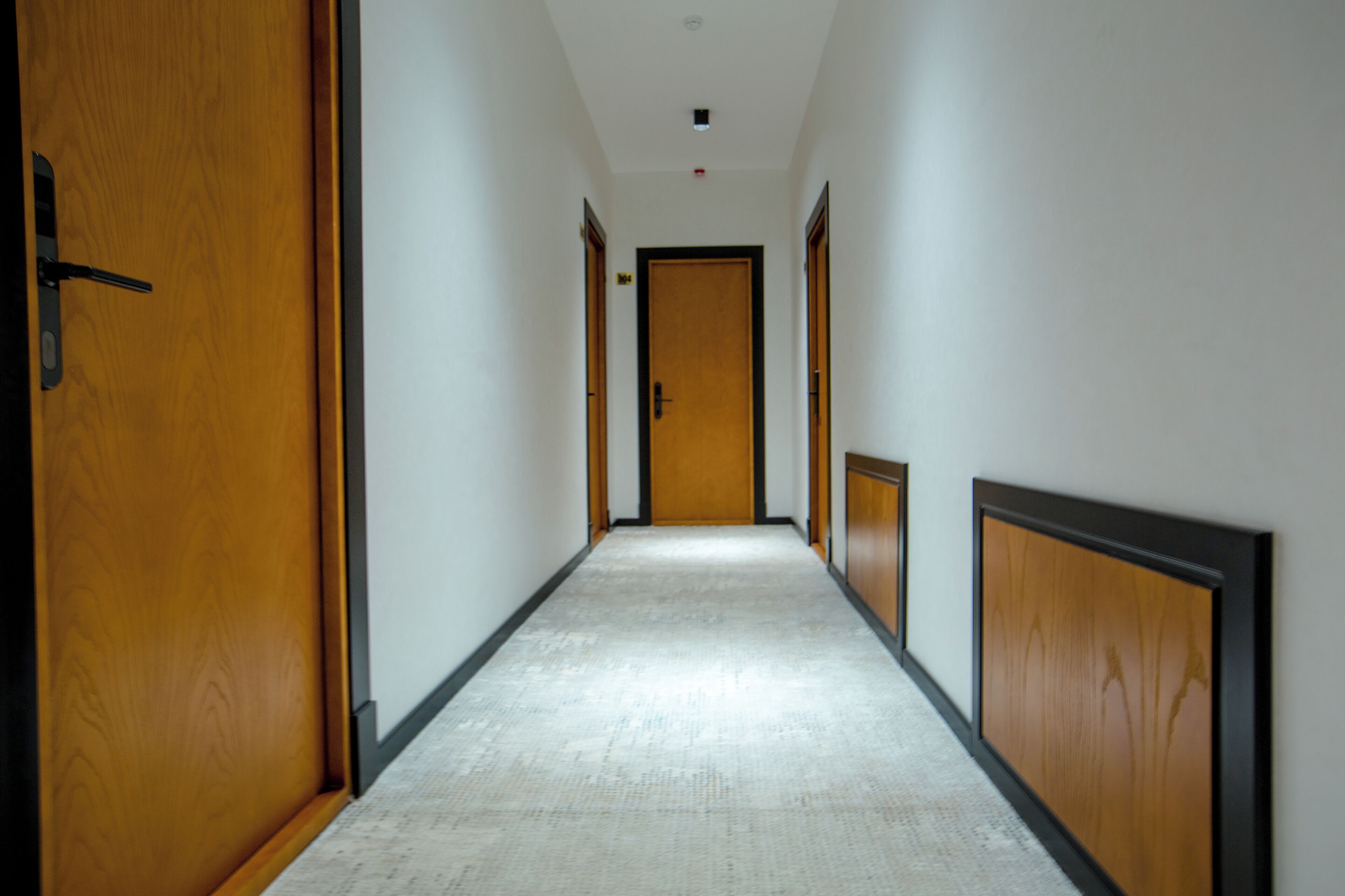 A long, narrow hallway with wooden doors on both sides and a carpeted floor.