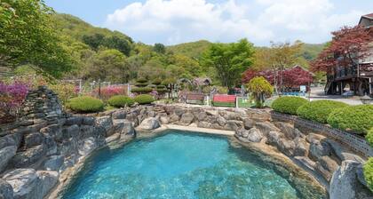 Gapeong Eoneunal Spa Pet Pension