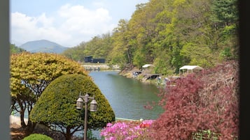 Rom โ basic, 1 soverom (A102 (Private BBQ / Jet Spa)) | 1 soverom og wi-fi (inkludert)