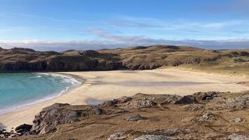 ビーチの近く、ビーチタオル