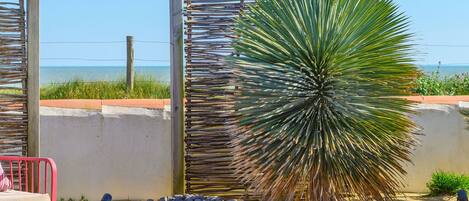 Bañera de hidromasaje exterior