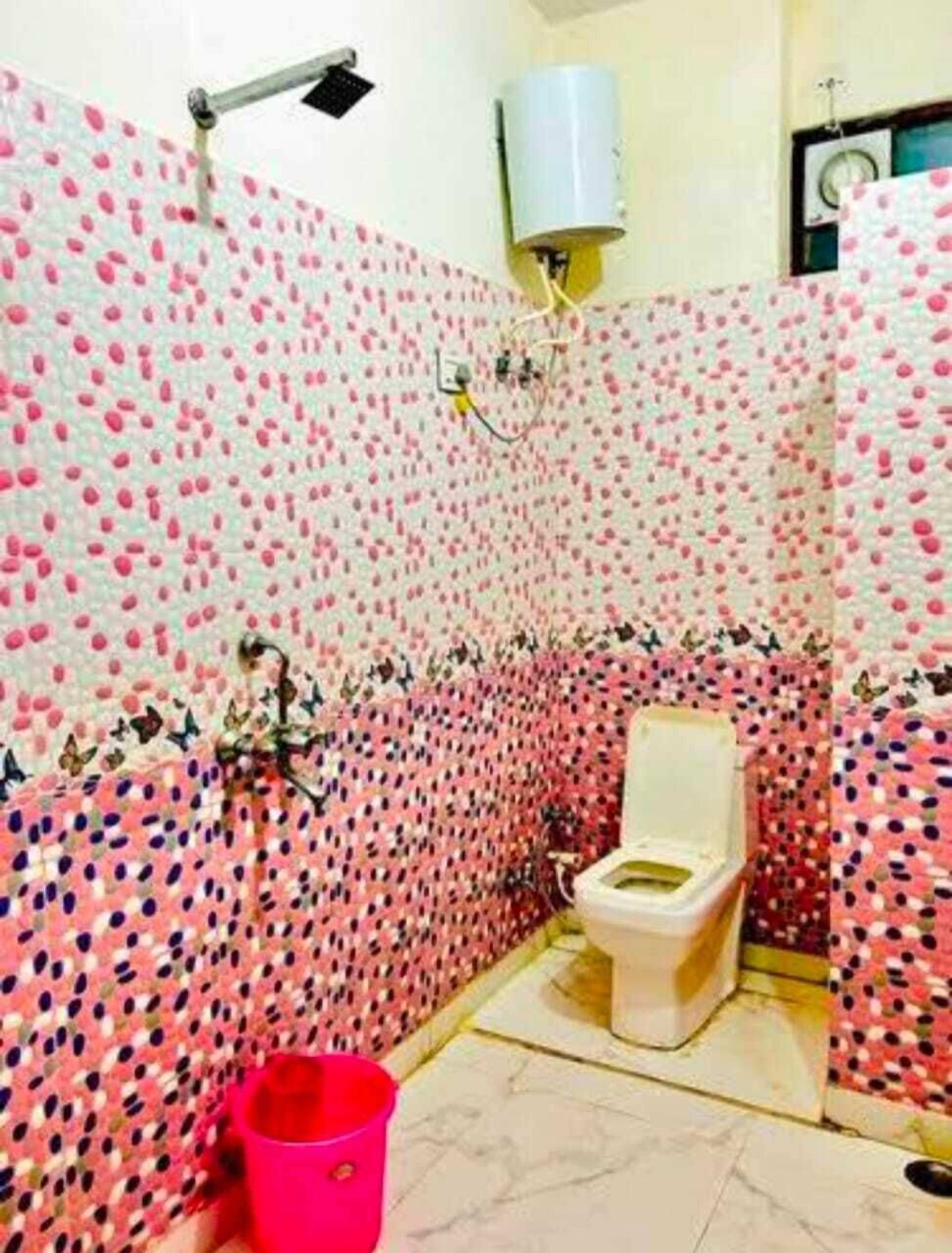 Foto - Hotel Taj Royal Inn