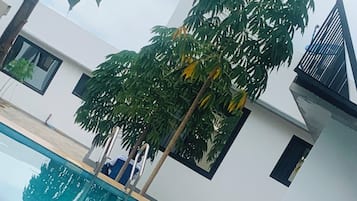 Alberca