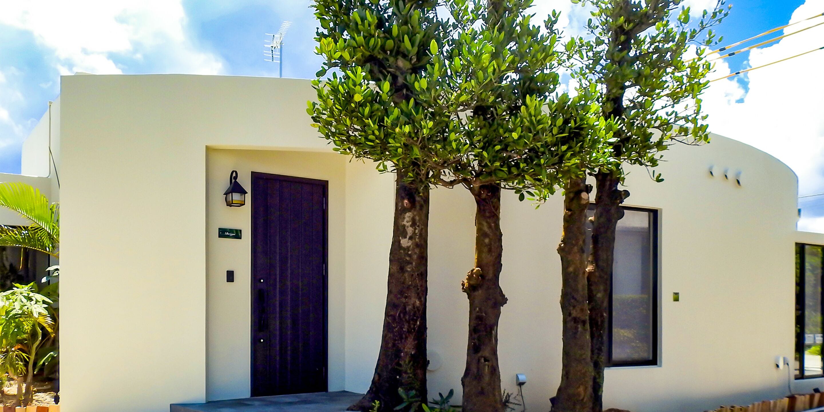 A modern building with a dark door, a small window, and a tree in front.
