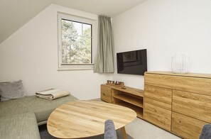 Fernseher, Stereoanlage