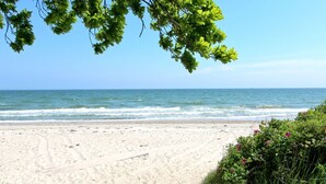 A sandy beach with a clear view of the ocean and a path leading to the water. - Beachfront apartment with terrace, use of swimming pool and sauna - Rex Rugia H-1010 - (Göhren)